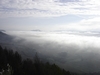 brouillard