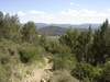 Chemin oppidum
