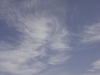 cirrus