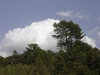 cumulus