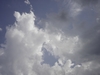cumulus congestus