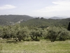 en revenant de la Lombarde