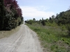 route paisilbe à la Lombarde