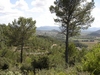 vue sur tour de Taradeau