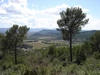 vue d'en haut